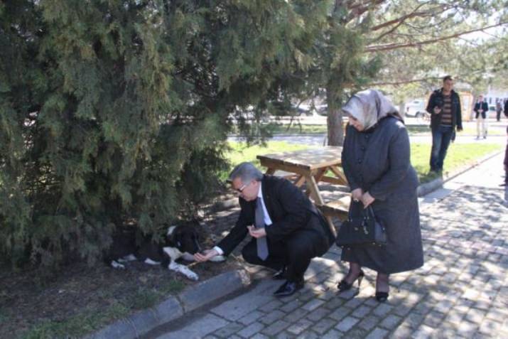 Vali Kahraman ve Eşi Sokak Hayvanlarını Eli İle Besledi